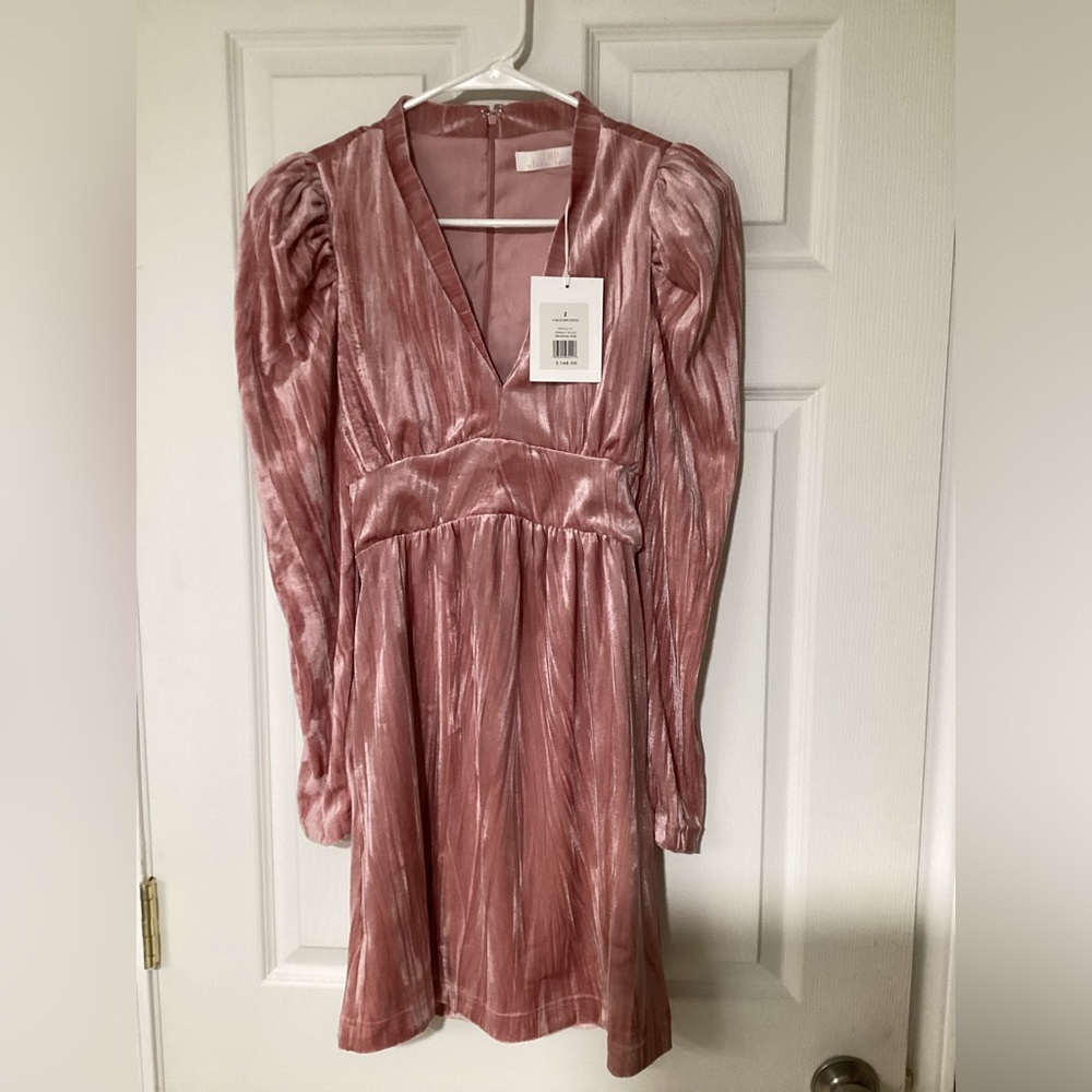 Rachel Parcell Pink Velvet Dress